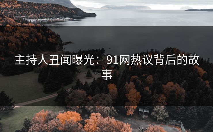 主持人丑闻曝光：91网热议背后的故事