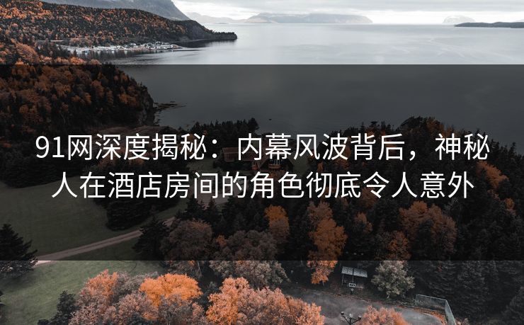 91网深度揭秘：内幕风波背后，神秘人在酒店房间的角色彻底令人意外