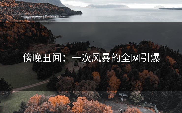 傍晚丑闻：一次风暴的全网引爆