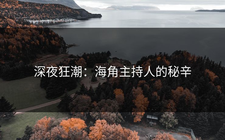 深夜狂潮：海角主持人的秘辛