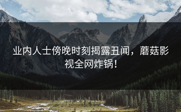 业内人士傍晚时刻揭露丑闻，蘑菇影视全网炸锅！