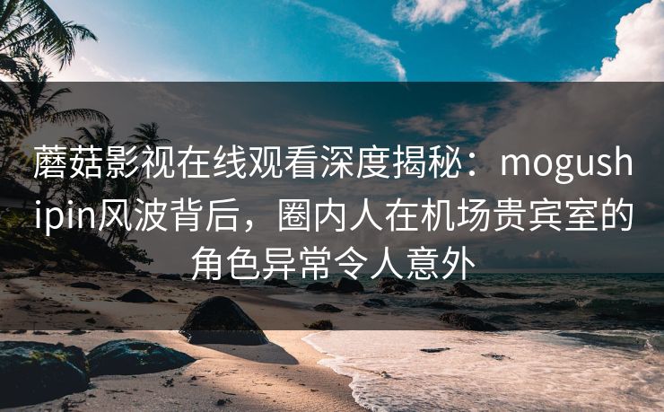 蘑菇影视在线观看深度揭秘：mogushipin风波背后，圈内人在机场贵宾室的角色异常令人意外